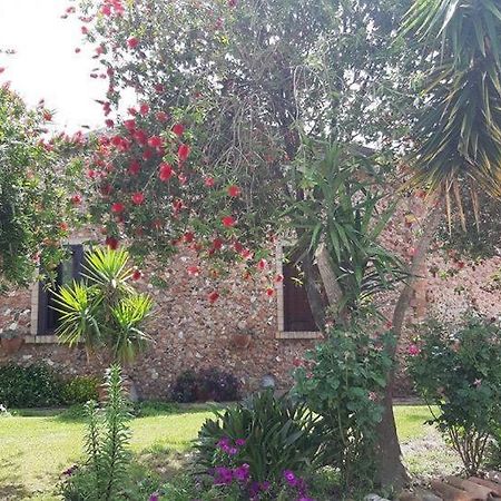Agriturismo Pingitore Luzzi المظهر الخارجي الصورة