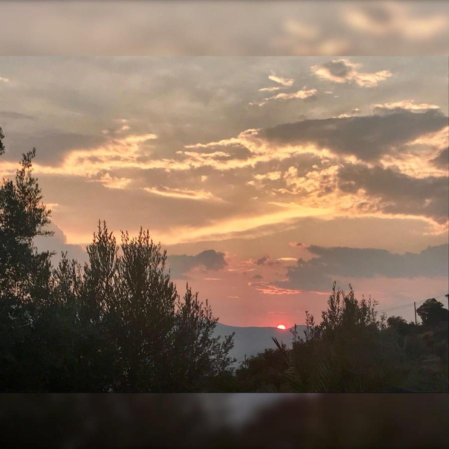 Agriturismo Pingitore Luzzi المظهر الخارجي الصورة