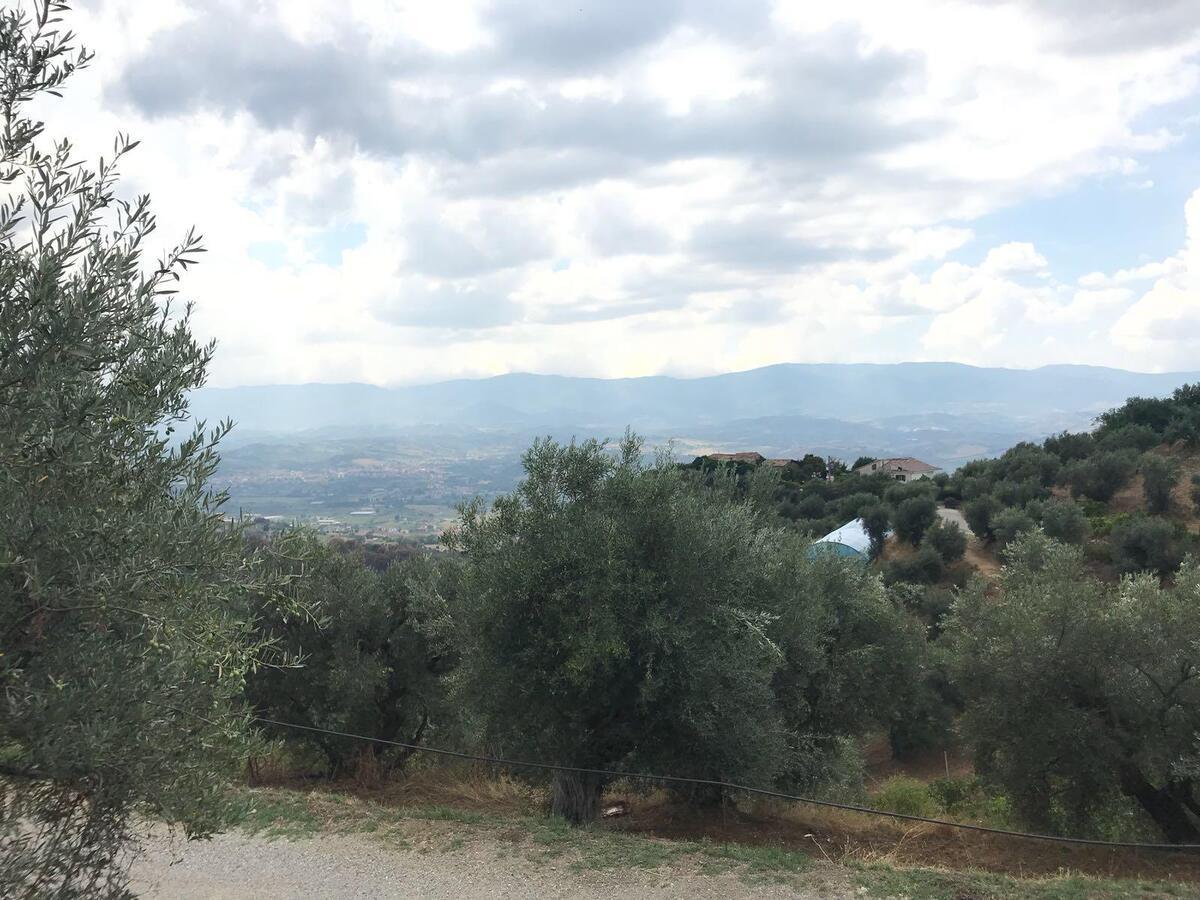 Agriturismo Pingitore Luzzi المظهر الخارجي الصورة