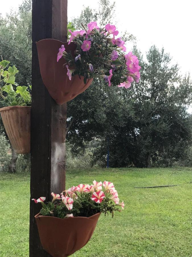 Agriturismo Pingitore Luzzi المظهر الخارجي الصورة