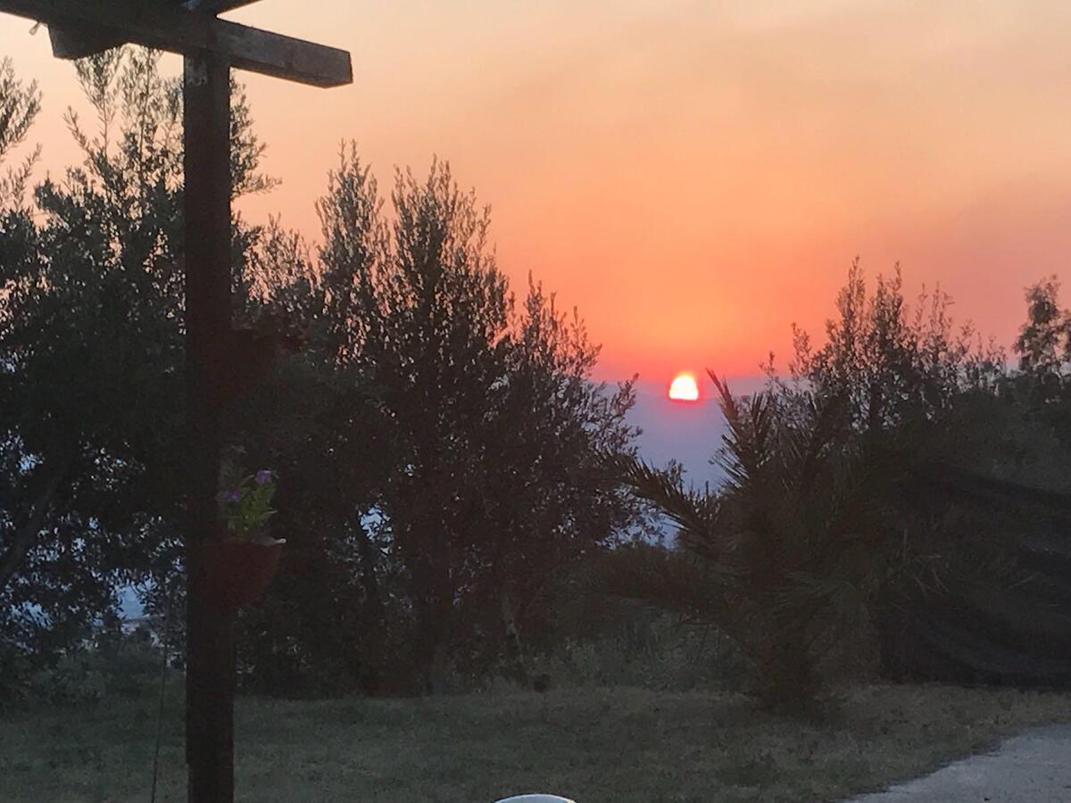 Agriturismo Pingitore Luzzi المظهر الخارجي الصورة