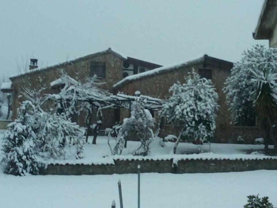 Agriturismo Pingitore Luzzi المظهر الخارجي الصورة