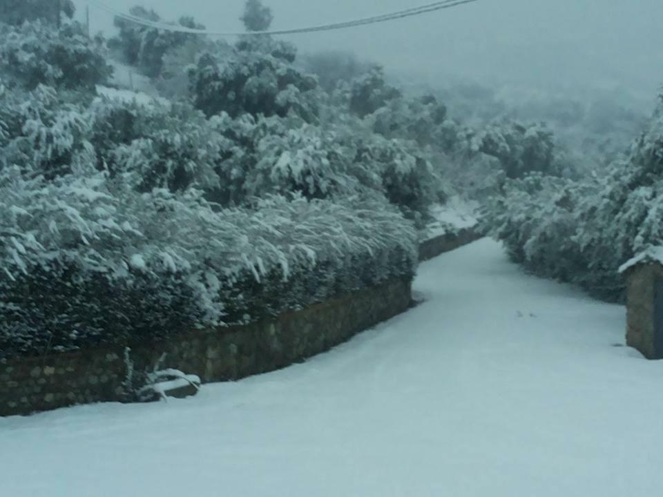 Agriturismo Pingitore Luzzi المظهر الخارجي الصورة