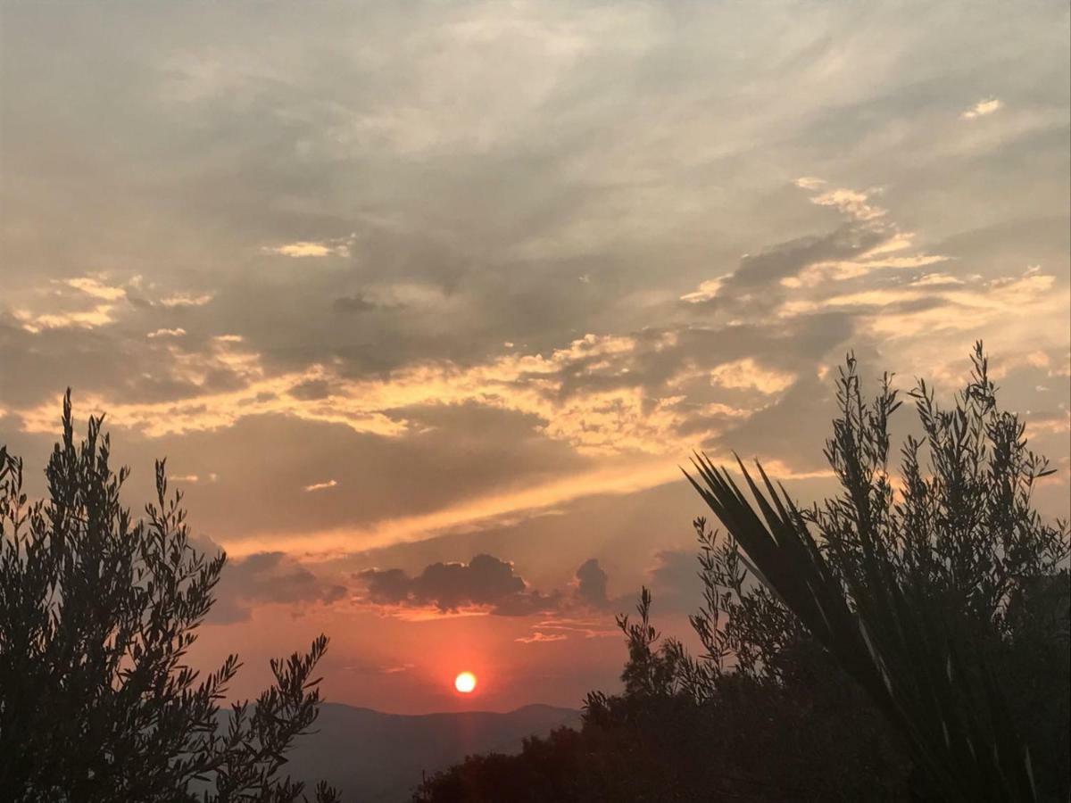 Agriturismo Pingitore Luzzi المظهر الخارجي الصورة